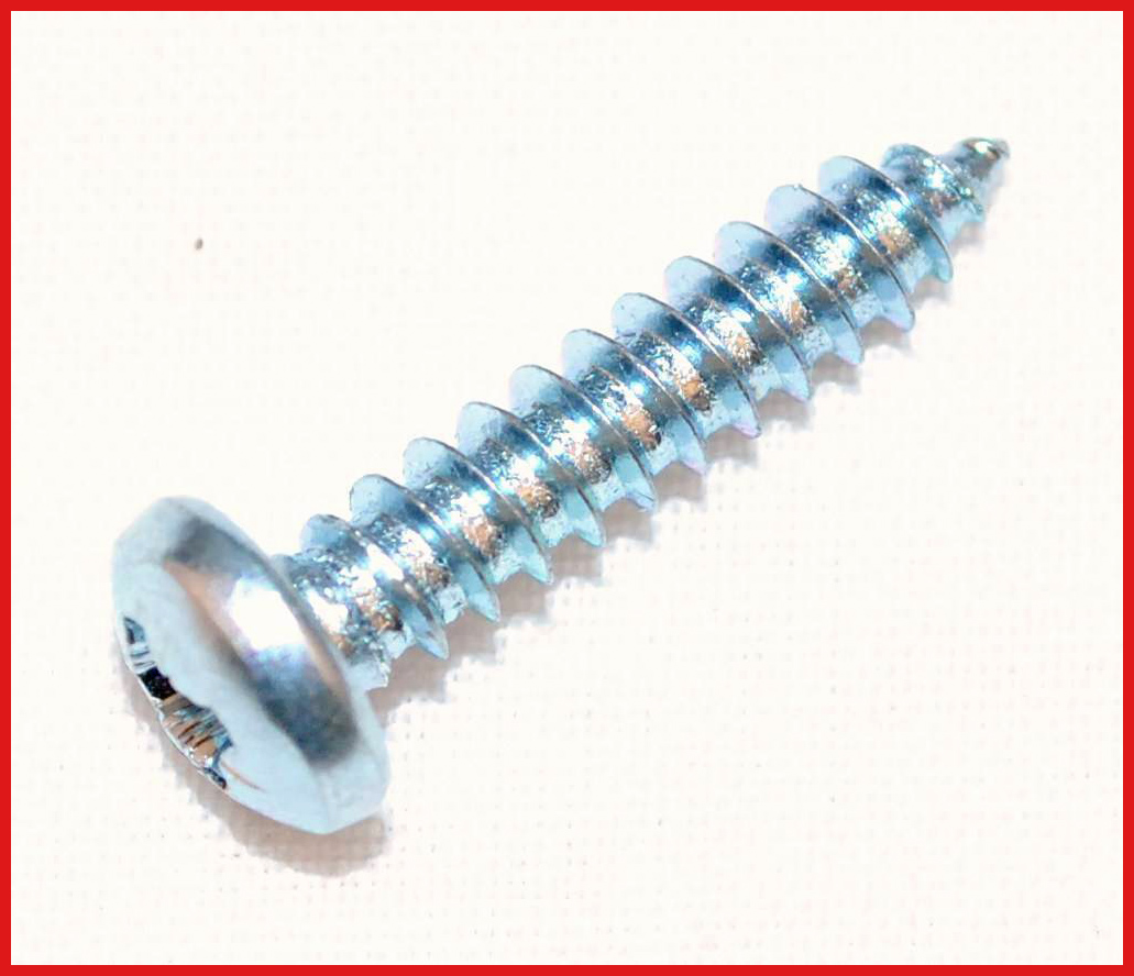 Self Tapping Screws, Nut Bolt Screw, Manufacturers, Suppliers, India
