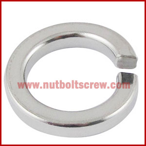 Stainless Steel Spring Washers in india