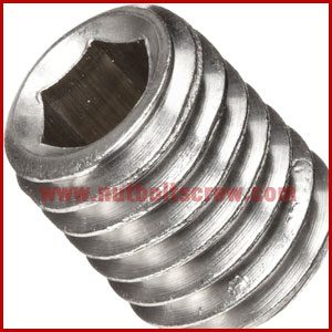 Stainless Steel Hex Nuts Brazil 
