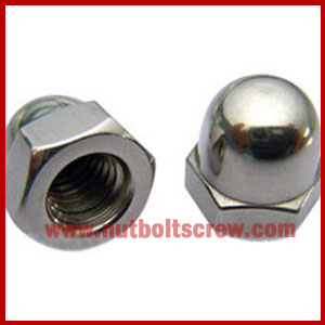 Stainless Steel Dome Nuts Supplier and Exporter in Malaysia