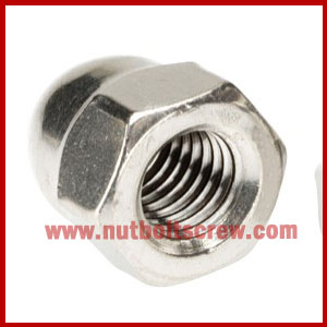 stainless steel dome nuts in gujarat