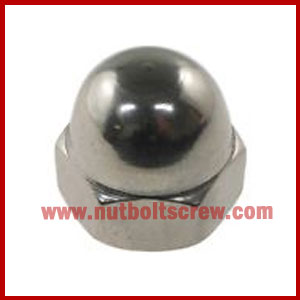 stainless steel dome nuts manufacturers