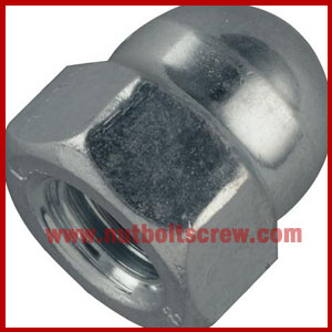 stainless steel dome nuts suppliers in india