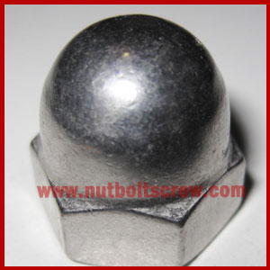 stainless steel dome nuts suppliers