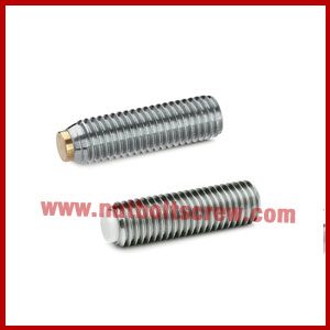 stainless steel grub screws suppliers in india