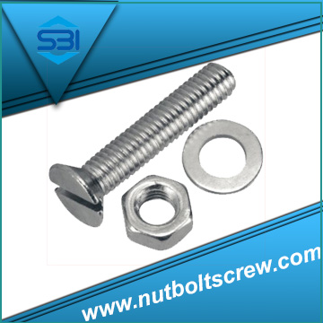 machine screws - SS 304 Hex Nut