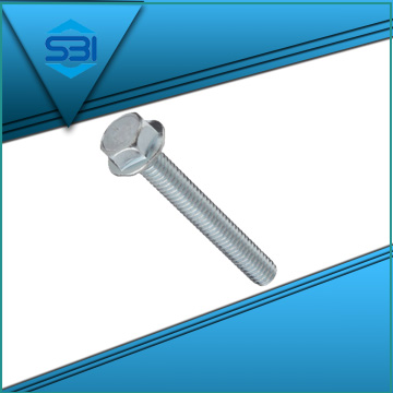 SS 304 Hex Bolt